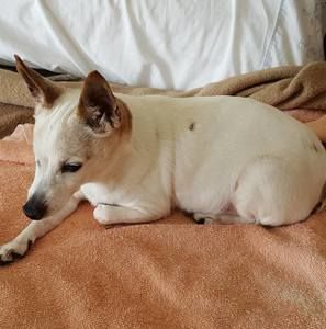 Meet your Posher, Barbara